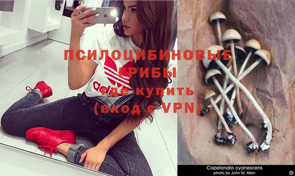 героин Туринск