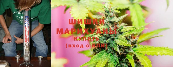 гашик Осинники