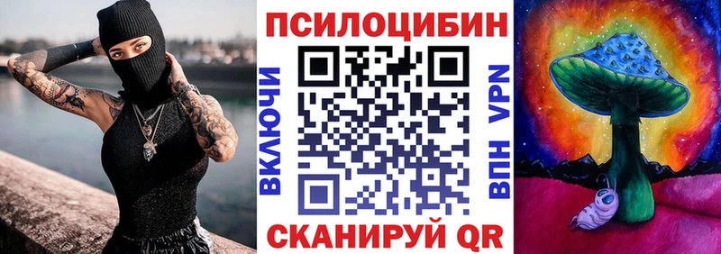 Галлюциногенные грибы Psilocybe Калининск